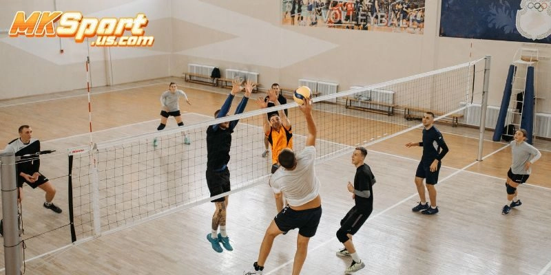 Phân tích yếu tố ảnh hưởng khi soi kèo bóng chuyền