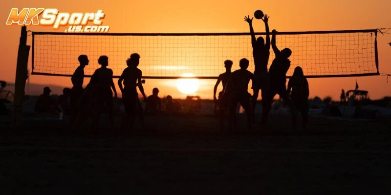 Hướng Dẫn Soi Kèo Bóng Chuyền Tại Mksport