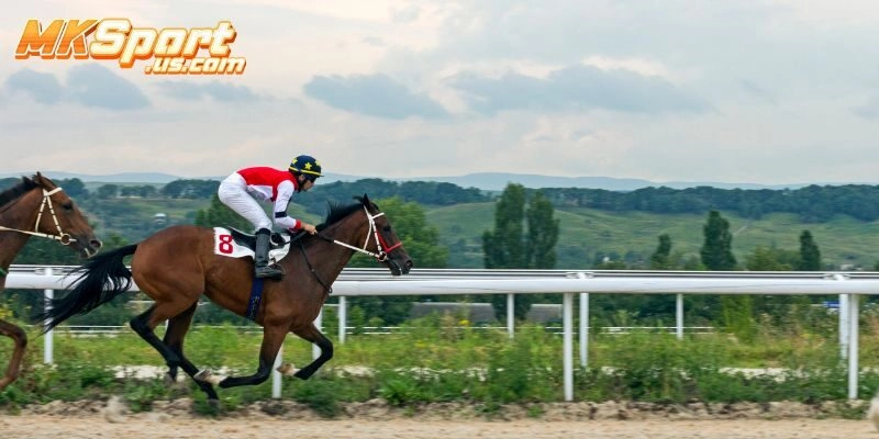 Đặt Cược Đua Ngựa Online – Tốc Độ Đỉnh Cao, Thắng Lớn Mỗi Ngày