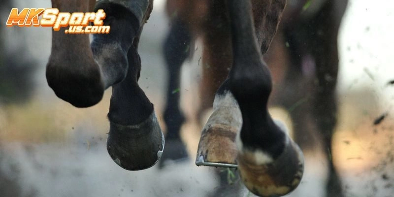 Giới Thiệu Về Trò Chơi Đua Ngựa Online Tại Mksport